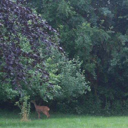 Ringslund B&B Galten Bagian luar foto